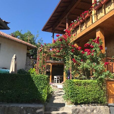 קופריבשטיצה Guest House Roden Dom מראה חיצוני תמונה