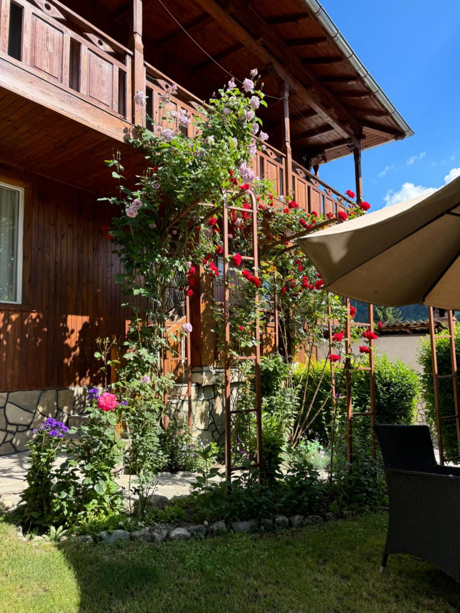 קופריבשטיצה Guest House Roden Dom מראה חיצוני תמונה