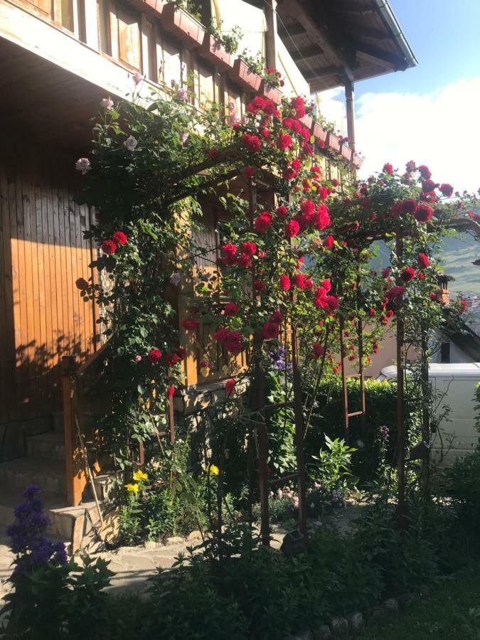 קופריבשטיצה Guest House Roden Dom מראה חיצוני תמונה