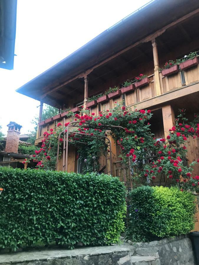 קופריבשטיצה Guest House Roden Dom מראה חיצוני תמונה